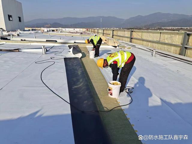 新型TPO防水卷材施工技術(shù)解析及其市場(chǎng)銷售策略